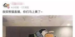 “王思聰”商標(biāo)被公然叫賣80萬！