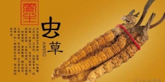 冬蟲(chóng)夏草產(chǎn)品商標(biāo)屬于哪一類