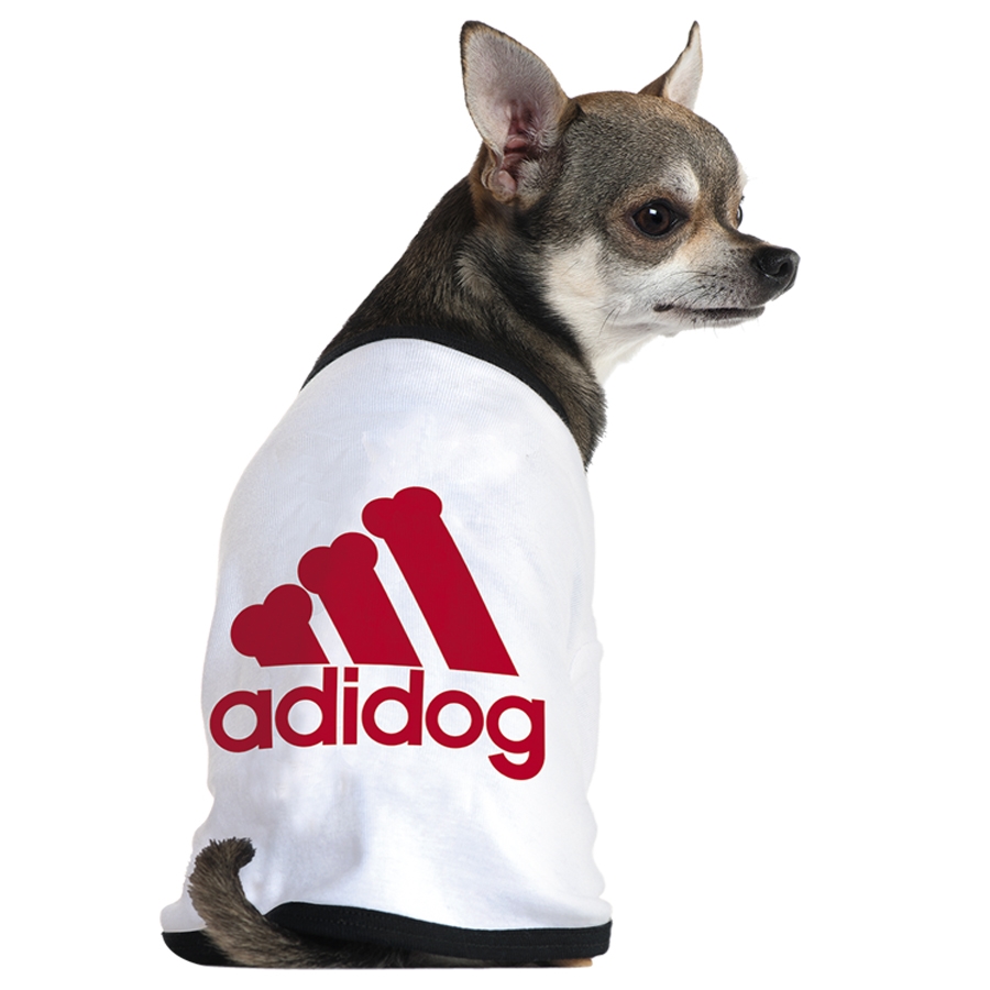 Adidas還有寵物服裝支線Adidog？ 其實是商標(biāo)侵權(quán)