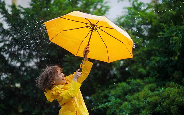 雨傘商標轉(zhuǎn)讓流程以及類別