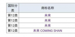 蔚來”為什么不用“未來”，商標是否被他人注冊