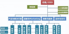 常見(jiàn)的組織架構(gòu)類(lèi)型有哪幾種(企業(yè)矩陣式組織結(jié)構(gòu)圖)