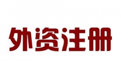 外資公司注冊法律體系的特點（外資公司注冊法律體系的特點包括）