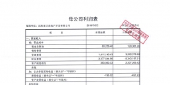 財務報表審計具體審查的內容（審計時公司報表有什么要注意的）