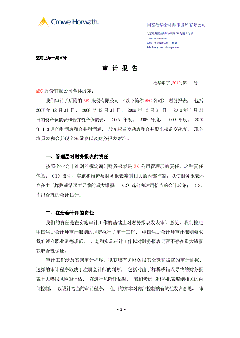 審計報告代理-財務審計報告內(nèi)容（）