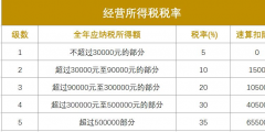 年利潤100萬要交多少稅(100萬交多少企業(yè)所得稅)