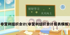 非營利組織會計(jì)(非營利組織會計(jì)報(bào)表模板)