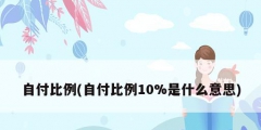 自付比例(自付比例10%是什么意思)