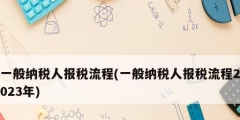 一般納稅人報(bào)稅流程(一般納稅人報(bào)稅流程2023年)