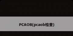 PCAOB(pcaob檢查)