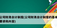 公司財務(wù)會計制度(公司財務(wù)會計制度的基本要求和內(nèi)容)