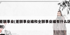 差額事業(yè)(差額事業(yè)編和全額事業(yè)編有什么區(qū)別)