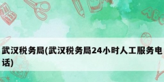 武漢稅務(wù)局(武漢稅務(wù)局24小時(shí)人工服務(wù)電話)