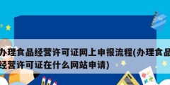 辦理食品經營許可證網上申報流程(辦理食品經營許可證在什么網站申請)