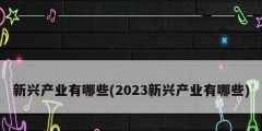 新興產業(yè)有哪些(2023新興產業(yè)有哪些)