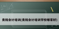 貴陽(yáng)會(huì)計(jì)培訓(xùn)(貴陽(yáng)會(huì)計(jì)培訓(xùn)學(xué)校哪家好)