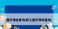 醫(yī)療保險查詢(職工醫(yī)療保險查詢)