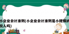 小企業(yè)會計準則(小企業(yè)會計準則是小規(guī)模納稅人嗎)