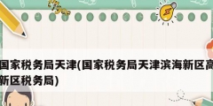 國家稅務局天津(國家稅務局天津濱海新區(qū)高新區(qū)稅務局)