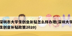 深圳市大學生創(chuàng)業(yè)補貼怎么樣辦理(深圳大學生創(chuàng)業(yè)補貼政策2020)