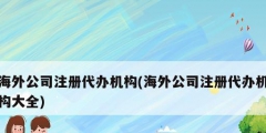 海外公司注冊代辦機構(海外公司注冊代辦機構大全)